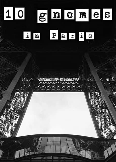10 Gnomes in Paris