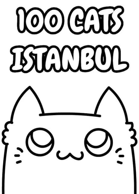 100 Cats Istanbul