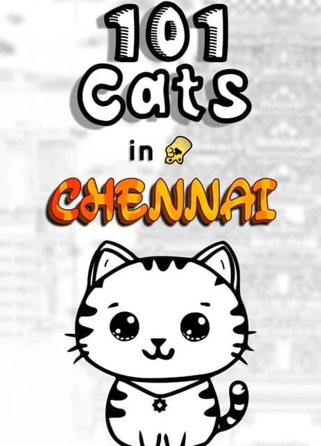 101 Cats in Chennai
