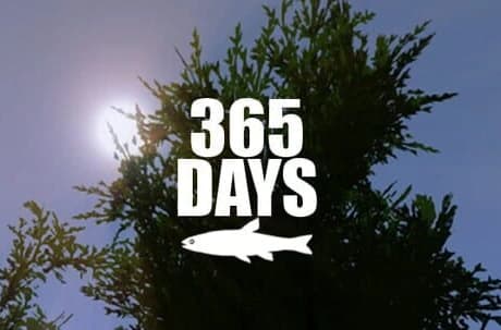365 Days
