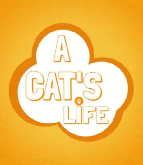 A Cat's Life