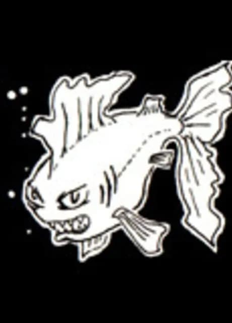 A Day for Fresh Sushi