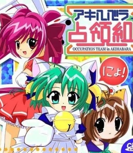 Akihabara Senryoukumi