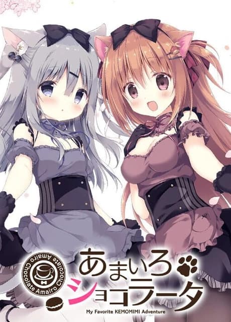 Amairo Chocolate