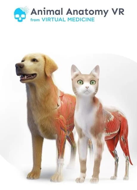 Animal Anatomy VR