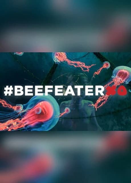 BeefeaterXO
