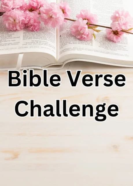 Bible Verse Challenge