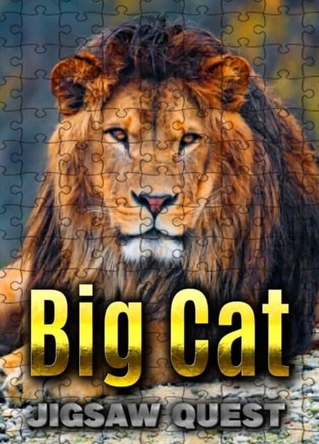 Big Cat Jigsaw Quest