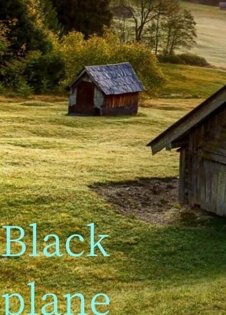 Black plane