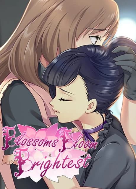 Blossoms Bloom Brightest