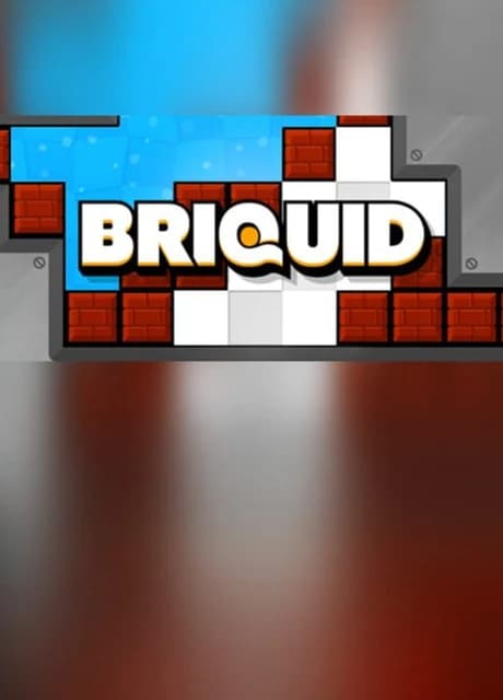 Briquid