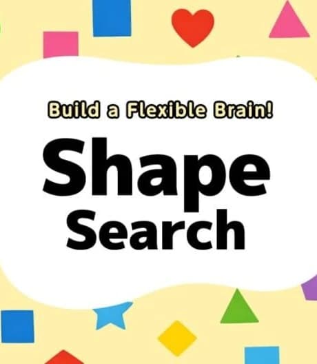 Build a Flexible Brain! Shape Search