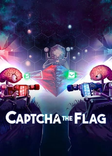 Captcha The Flag