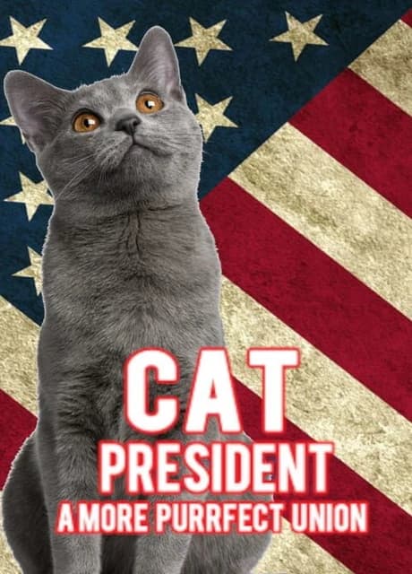 Cat President: 3rd-Rate Candidate