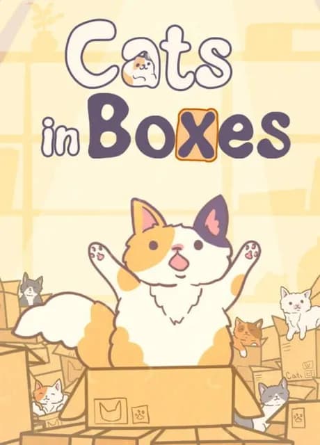 Cats in Boxes