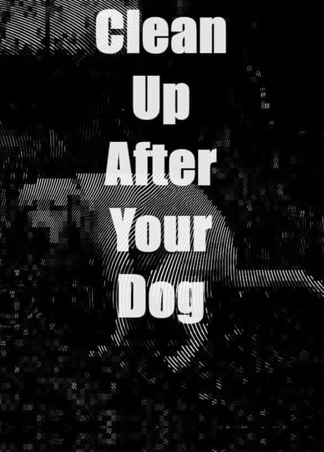 Clean Up After Your Dog
