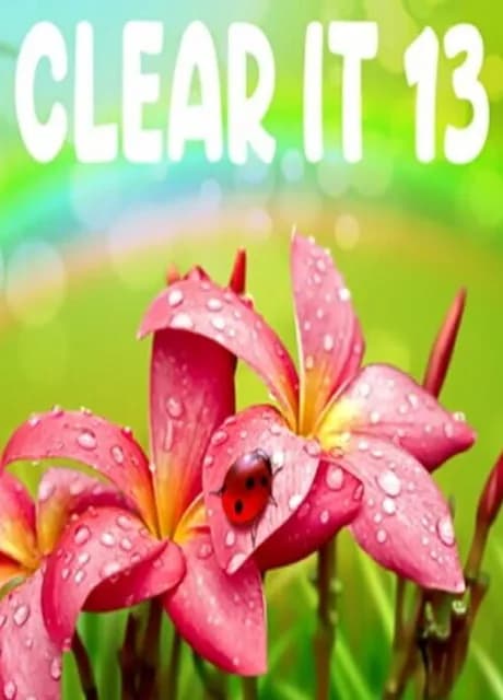 ClearIt 13
