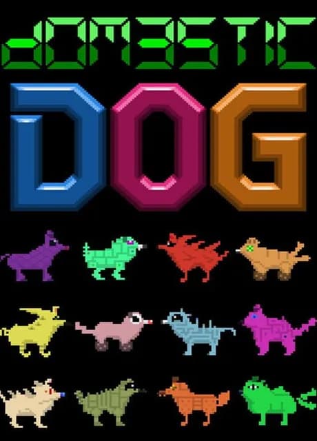 Domestic Dog