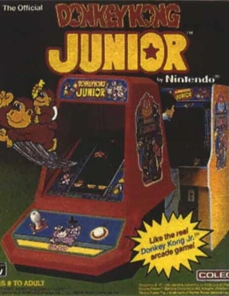 Donkey Kong Junior