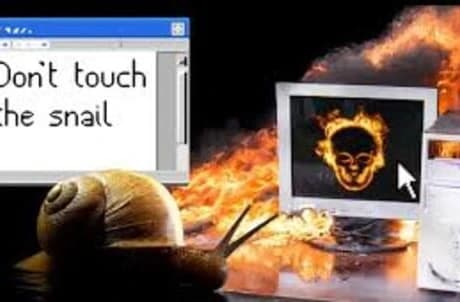 Don't Touch the Snail