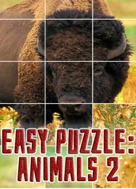 Easy puzzle: Animals 2