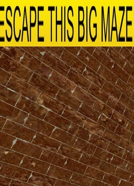 Escape This Big Maze!