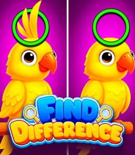 Find Difference