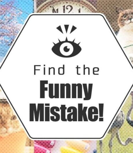 Find the Funny Mistake!