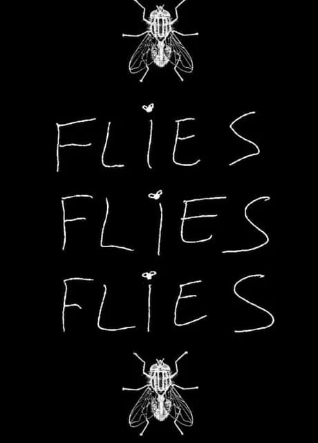 Flies Flies Flies