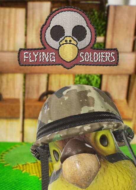 Flying Soldiers