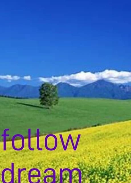 Follow Dream