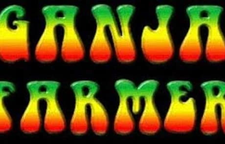 Ganja Farmer