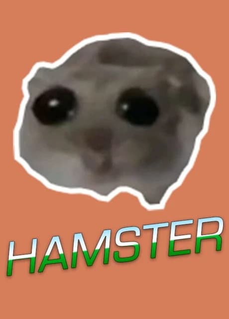 Hamster