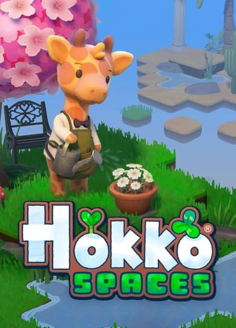 Hokko Spaces