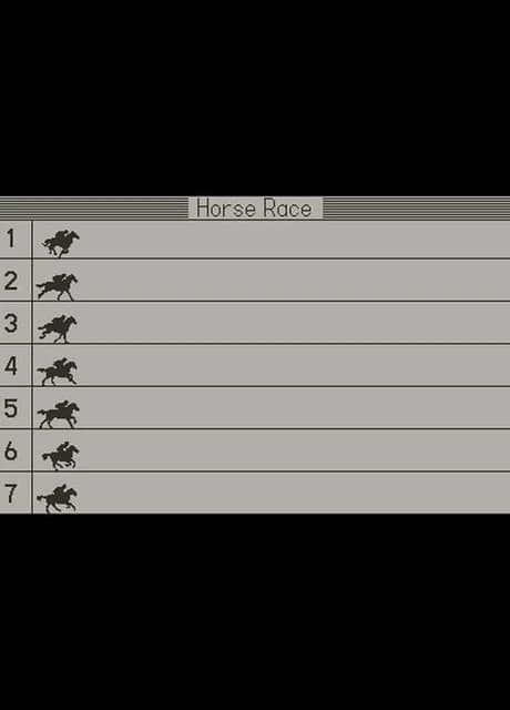 Horse Race