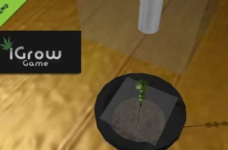 iGrow Game