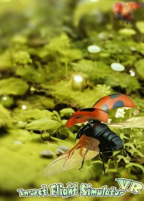 Insect Flight Simulator VR