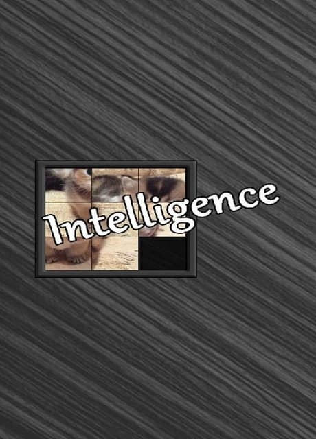 Intelligence