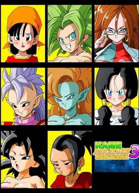 Kame Paradise 3 Multiversex