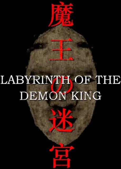 Labyrinth of the Demon King
