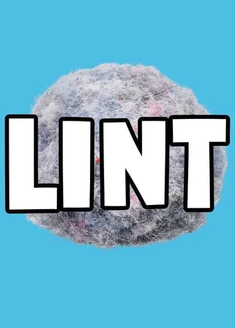 Lint