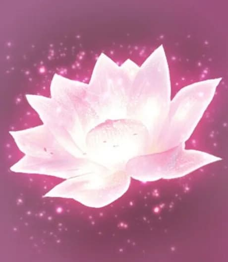 Lotus Digital