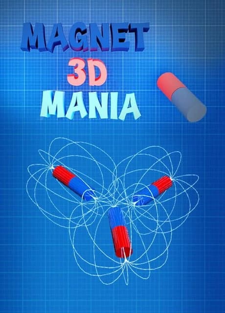 Magnet Mania 3D