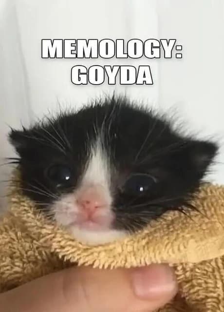 Memology: Goyda