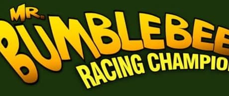 Mister Bumblebee Racing Champion