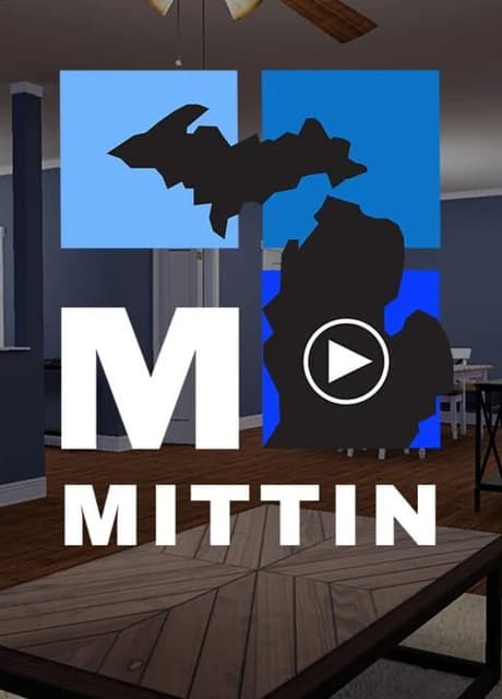Mittin