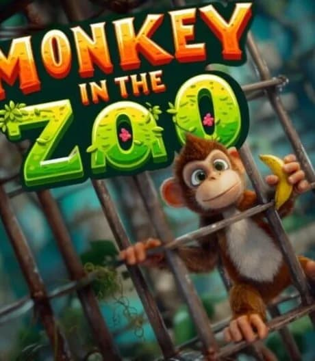 Monkey in the Zoo