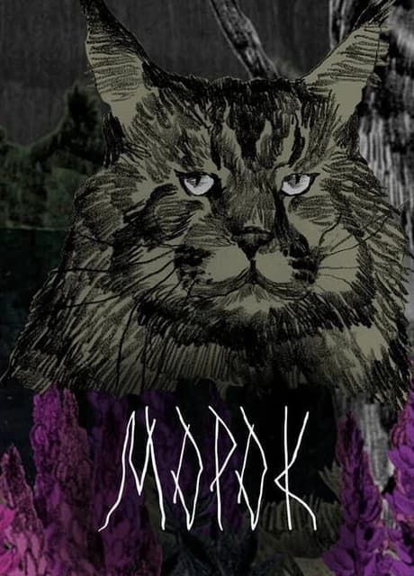 Morok