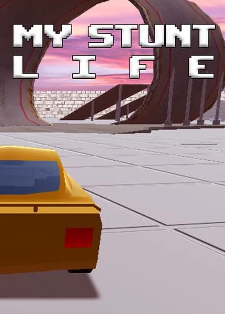 My Stunt Life