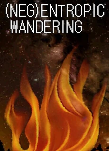 (Neg)Entropic Wandering